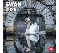 Swan 2026 Calendar: Elegant waterfowl captured in serene lake settings