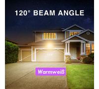 SWANEW LED Projecteur Lampes Lumière Projecteur extérieur SMD IP66 20W