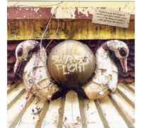 Swans in Flight [Import]