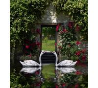 Swans, Photo Murale, 180x202 Cm, 2 Parts - Enfants