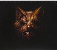 Swans - Seer -CD+DVD/Ltd-