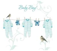 Swarovski Carré Pass EE02 Naissance de la barboteuse