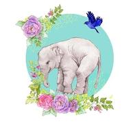 Swarovski Carré Pass Éléphant CL2004