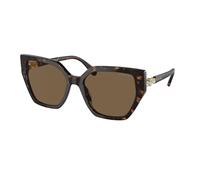 Swarovski Femme SK6016 100273 Lunettes de soleil Acétate Marron Marron Géométrique Normale