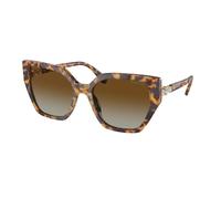 Swarovski Femme SK6016 1004T5 Lunettes de soleil Acétate Tortue Marron Géométrique Polarisé Ombré