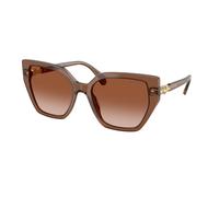 Swarovski Femme SK6016 106713 Lunettes de soleil Acétate Marron Marron Géométrique Normale Ombré