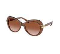 Swarovski Femme SK6026 106713 Lunettes de soleil Acétate Marron Marron Papillon Normale Ombré