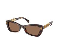 Swarovski Femme SK6033 100273 Lunettes de soleil Acétate Tortue Marron Géométrique Normale