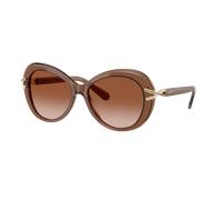 Swarovski Femme Sunglass SK6026 - Couleur du Monture: Transparent Marron, Couleur de Lentille: Dégradé Marron