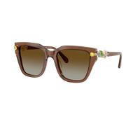 Swarovski Femme Sunglass SK6041 - Couleur du Monture: Transparent Marron, Couleur de Lentille: Brun dégradé polarisé