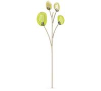 Swarovski Garden Tales Eucalyptus, vert (vert), Taille unique