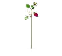 Swarovski Garden Tales Fraise Sauvage