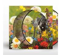 Swastikas for Noddy/Picture Disc