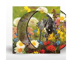 Swastikas for Noddy/Picture Disc