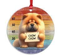 Swavecat Décoration pour chien - Chow Chow Chow - Ornements de Noël drôles en forme de chien prisonnier arc-en-ciel - Ornements de Noël pour chien lesbien - Décoration de Noël en acrylique pour sapin