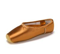SWDZM Chaussures de Danse Classique Pointe de Ballet avec Protection Professionnel avec Ruban pour Filles Femmes,Bronze,Semelle en Cuir,37 EU