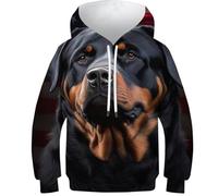 Sweat à capuche 3D Chihuahua Dog18 pour enfants - Pull à capuche pour filles et garçons - Mode jeunesse - Vêtements de sport décontractés à manches longues, Drapeau des États-Unis Rottweiler, 12-14
