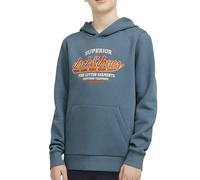 Sweat À Capuche Bleu 14A