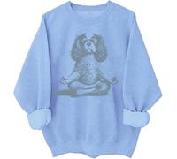Sweat à capuche Cavalier King Charles Spaniel mignon chien graphique cadeau pour amoureux des chiens Chemises à manches longues, bleu ciel, 3XL