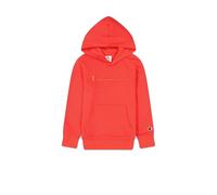 Sweat à capuche Champion Cml Logo Multicolore L