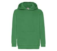 Sweat à capuche classic coton 260 vert kelly 9/11A