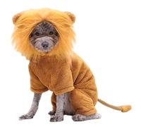 Sweat À Capuche De Lion pour Chat - Costume d'animaux À Fourrure, Veste pour Animaux De Compagnie Mignonne | Sweat À Capuche De Lion, Tenue De Perruque en Peluche Chaude, Manteau Doux Et Confort