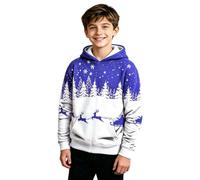 Sweat à capuche de Noël pour garçon Motif traîneau et renne | Pull d'hiver pour enfants, Père Noël, flocon de neige, vêtements à capuche pour adolescents