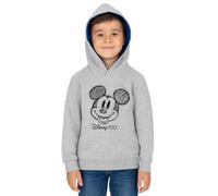 Sweat à Capuche Disney Mickey Mouse pour garçon - Sweat à Capuche pour Enfant Gris (DE/NL/SE/PL, Numérique, 110, 116, Regular, Gris)
