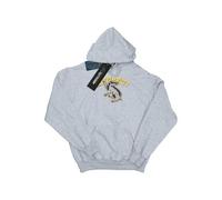Sweat À Capuche En Coton Peigné De Qualité Supérieure Harry Potter Gris Chiné