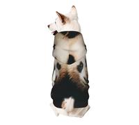 Sweat à capuche en polyester doux et respirant avec deux adorables oursons de panda, vêtements pour petits chiens, garçons et filles