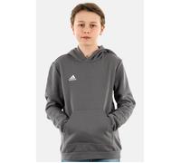 Sweat à capuche enfant ADIDAS ORIGINALS ent22 tegrfo - Gris 10 ans