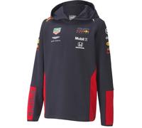 Sweat à capuche Enfant F1 Formula Team RB Racing Aston Martin Officiel Formule 1 3-4 ans