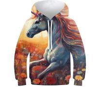 Sweat à Capuche Enfant Imprimé 3D Tigre Sweat à la Mode Unisexe Garçons Filles Manches Longues Cool Drôle Décontracté Sweatshirt, Cheval licorne, 10-12 ans