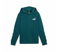 Sweat à capuche enfant Puma Essentials