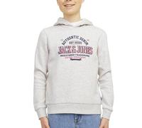 Sweat À Capuche Gris 12A