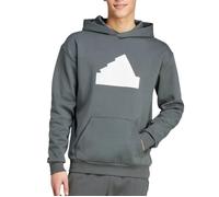 Sweat à Capuche Gris Homme Adidas M Fi Bos Hd XS
