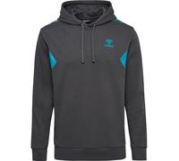 Sweat à capuche hml Staltic Cotton Hoodie