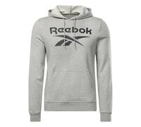Sweat à capuche homme Reebok FT BIG LOGO OTH HZ8786 Gris