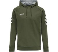 Sweat à capuche Hummel hmlGO S
