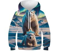 Sweat à Capuche imprimé 3D avec Ours Polaires couronnés d'aurores boréales, Pull-Over pour Enfants, Sweat-Shirt décontracté à Manches Longues, Veste Pull-Over, 13-15 Ans