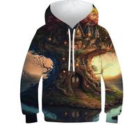 Sweat à capuche imprimé 3D hérisson animal1 pour enfants pull décontracté à manches longues survêtements tops pull veste, Royaume des contes de fées, 10-12 Years