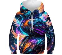 Sweat à capuche imprimé 3D hérisson animal1 pour enfants pull décontracté à manches longues survêtements tops pull veste, Space Raven3, 8-10 Years