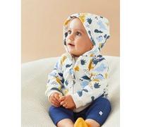 Sweat à capuche imprimés dinosaures, écru/bleu 1M