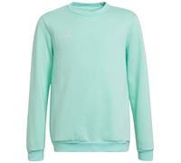 Sweat À Capuche Junior Adidas Entrada 22 En Coton Fleece HC5042 Vert D'Eau