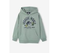 Sweat à capuche Jurassic World lichen 4A