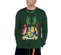 Sweat À Capuche Maurice Emblème National pour Hommes Confortable Et Élégant Col Rond Emblème National Imprimé Pull À Capuche avec Poches pour Usage Quotidien Activités De Loisirs du S Au 4XL