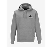 Sweat à capuche Patagonia Chouinard Crest Uprisal gris - XS