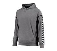 Sweat à capuche poly Hummel hmlAUTHENTIC Charge Gris S