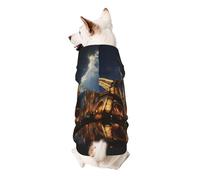 Sweat à capuche pour chien Cathédrale de la Sainte Famille et Tour Eiffel - Doux et respirant - Vêtements pour chiens de petite et grande taille - Vêtements élégants et confortables pour chiens