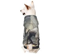 Sweat à capuche pour chien pour l'automne et l'hiver, vêtement confortable pour les activités de plein air, le mammouth doré dans les ruines, imprimé tie-dye